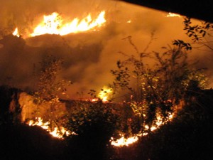 La région Bongolava est très touchée par la déforestation.