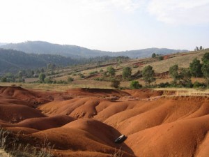 « Les sols malgaches sont devenus de plus en plus vulnérables à l’érosion, pouvant provoquer l’insécurité alimentaire », a-t-on expliqué.