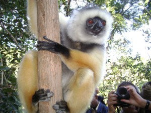 La conservation de la biodiversité nécessite une certaine compétence. (Photo d’archives)