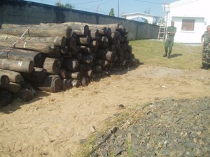 Il faut liquider dans les plus brefs délais les stocks de bois de rose saisis et sécurisés car leur quantité ne cesse de diminuer au fil du temps. (Photo d’archives)