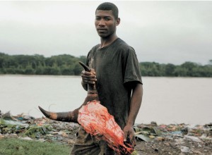 L’une des photos de Jean Luc Andrianasolo.