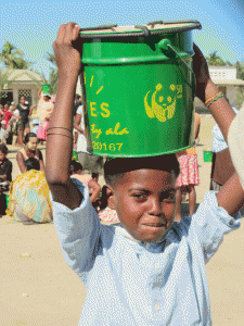 Quelque 2 000 « fatana mitsitsy » seront destinés à la population de Toliara, cette année, à l’occasion du mouvement « Earth Hour ». (Photo WWF)