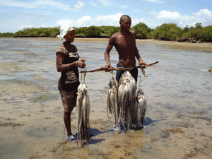 La gestion des aires protégées marines permet aux communautés locales impliquées d’accroître considérablement leurs captures de pêche. (Photo d’archives) 