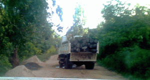  Des camions sans immatriculation transportent des bois de rose en plein jour. (Photo fournie)