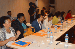 les participants à cet atelier organisé par l’EISA à l’Hôtel Ibis à Ankorondrano. (photo Nary)