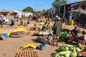 Le marché de Tsihombe où se vendent des fruits de cactus rouge qui ne sont pas encore mûrs.