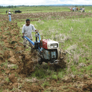 L’immense potentialité agricole de Madagascar lui donne un rôle primordial pour le développement des pays membres de la COI. 