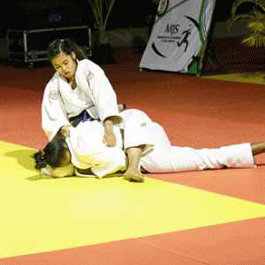 judo