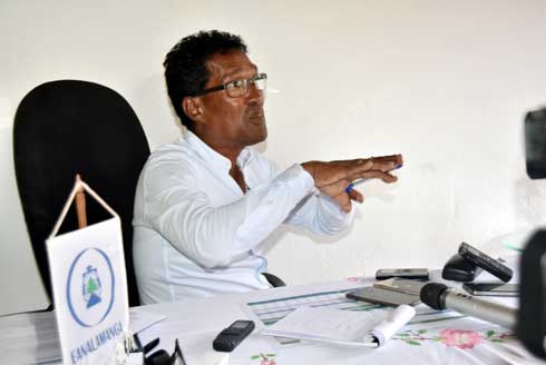 Société Fanalamanga 110 000 ha de peuplement de pins enregistrés