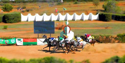 Hippisme : Un doublé de Nomenjanahary !