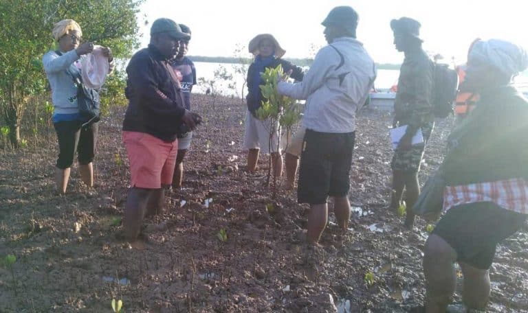 Région Melaky : Renforcement du contrôle de la restauration des mangroves