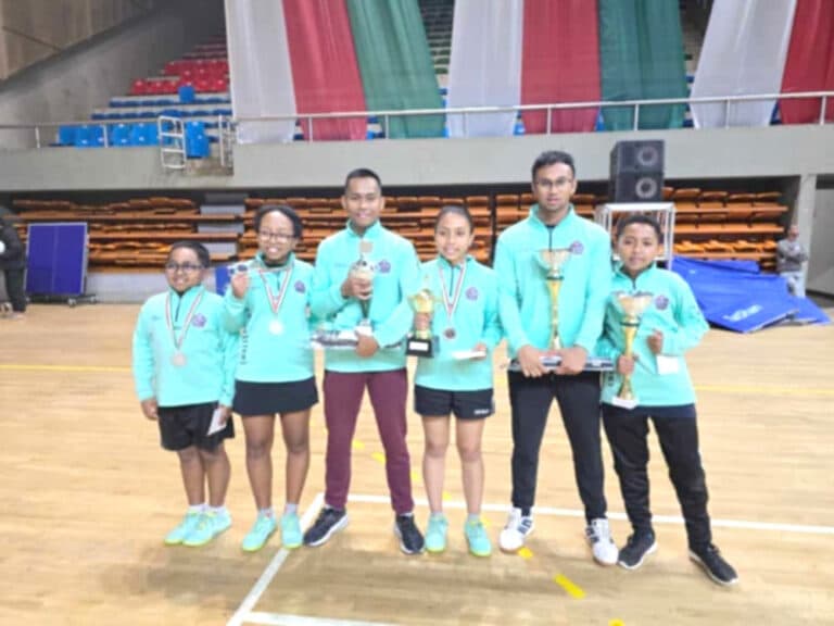 Championnat De France Tennis De Table 2024 Dacia Dorotea