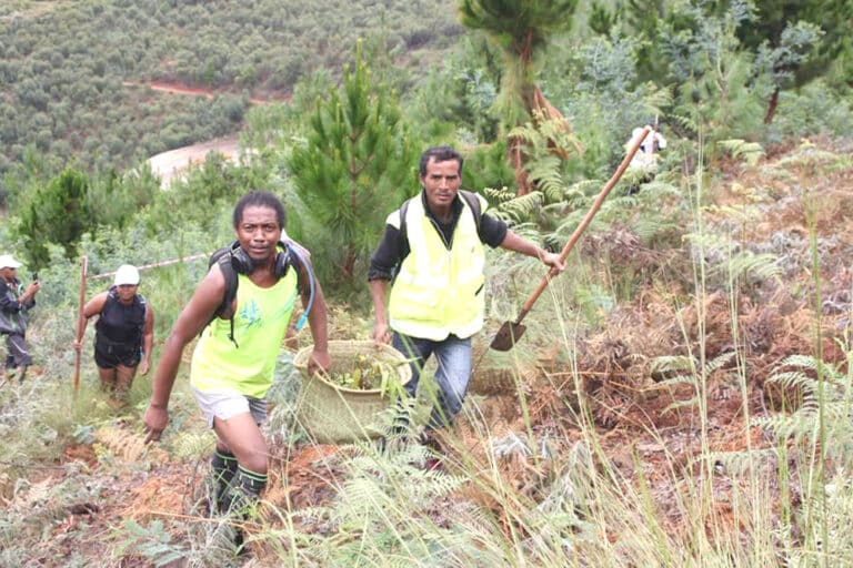Trail : Reboisement dans le jardin à Angavokely ce samedi