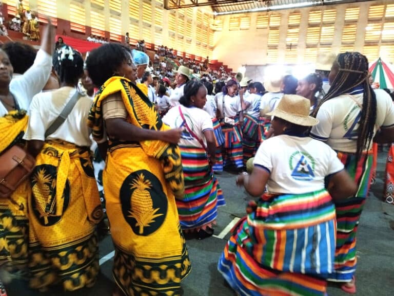 Facilitation de visa  pour les artistes : Entre doute et réjouissance