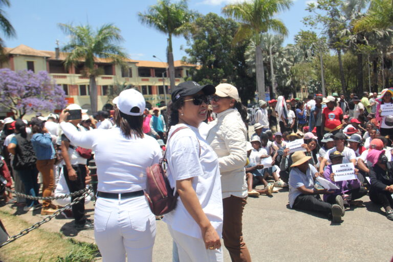 Marie Michelle Sahondrarimalala : « Le décret retirant la nationalité malgache à Andry Rajoelina est nul et non avenu »