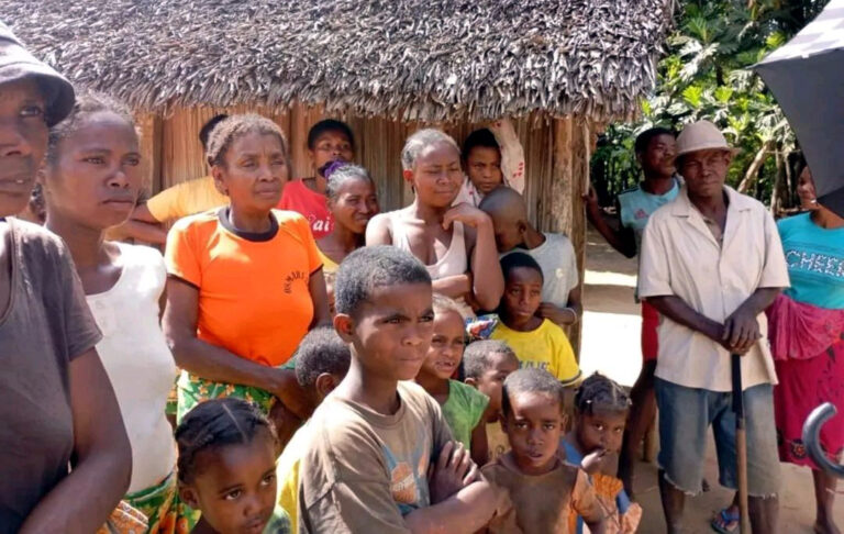 Vatomandry : Vers la transformation du litchi