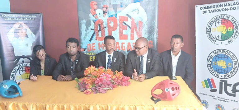 Taekwon-do – Commission ITF : Une première année ponctuée de travail