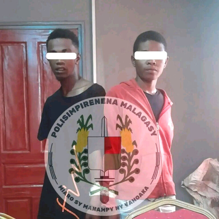 Betafo : Arrestation de deux bandits récidivistes