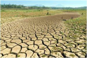 Surveillance des aléas climatiques : L’Action anticipative fait ses preuves dans le Sud